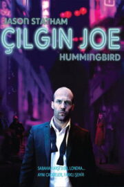 Çılgın Joe 2013 Türkçe Dublaj izle